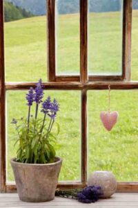 Gifts for Gardeners: 5 Ideas for the Apartment Gardener Image